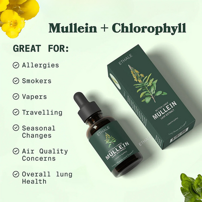 AMA - Mullein + Chlorofyl Longdruppels